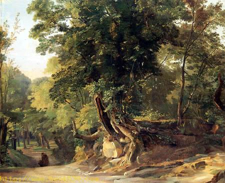 Forest landscape near Ariccia