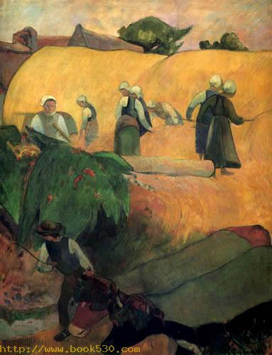 Harvest in the Bretagne