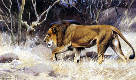 Lion on the deerstalking