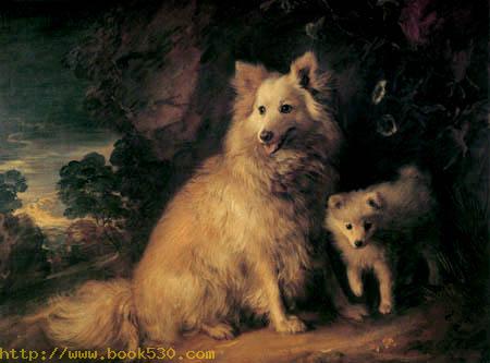 The Dogs Bitch and Pup