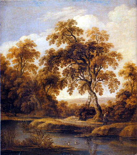 Forest landscape