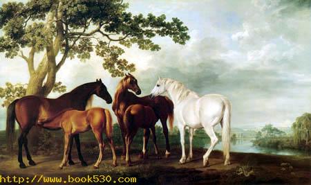 Horses in a landscape
