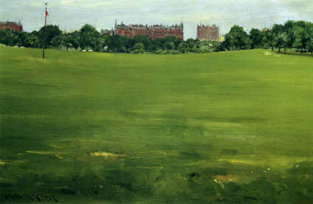 Rasen im Central Park