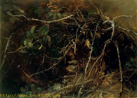 Dornenranken im Unterholz