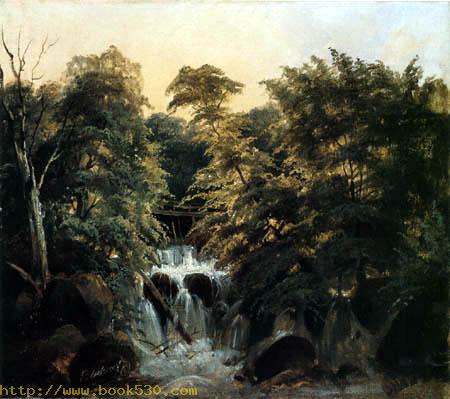 Forest Landscape with Waterfall