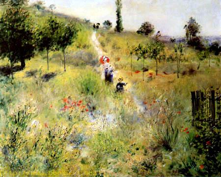 Pfad durch hohes Gras