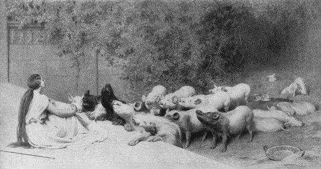 Circe and her Swine