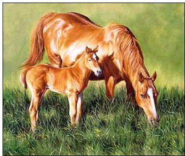 Animal oil painting