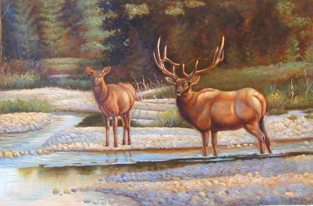 Oil painting for sale:others-016