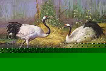 Oil painting for sale:others-027