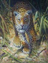Oil painting for sale:tiger-002