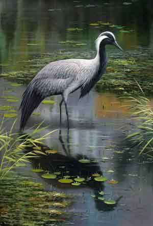 Oil painting for sale:bds061