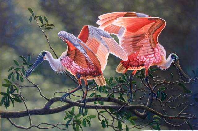 Oil painting for sale:birds-011