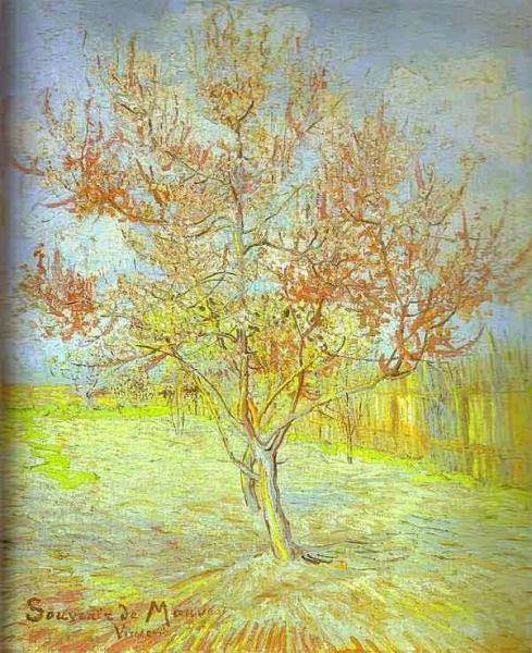 Peach Tree in Bloom. (In memory of Mauve). March 1888