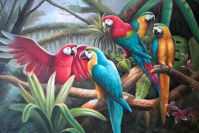 Other Animals OA 2220