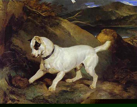 Jocko with a Hedgehog