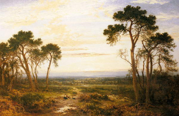 Across the Heath