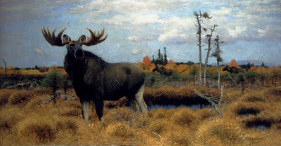 Elks In A Marsh Landscape