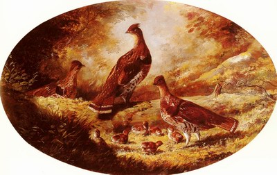 Grouse Family