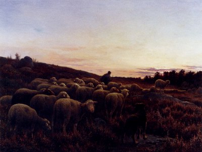 The return of the herd