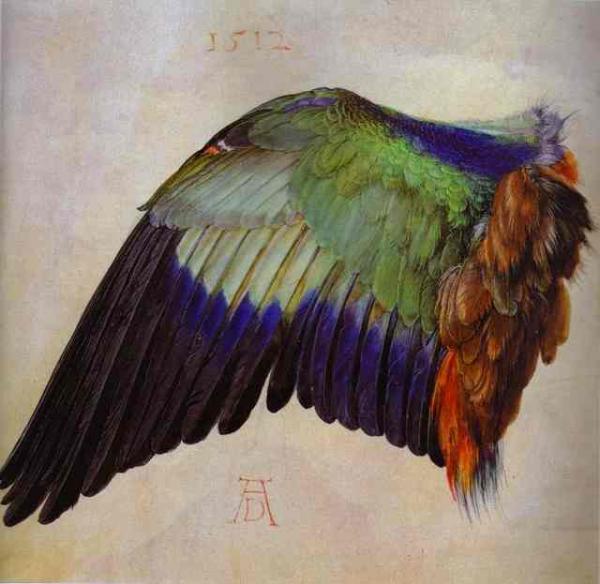Oil painting:Wing of a Roller. 1512