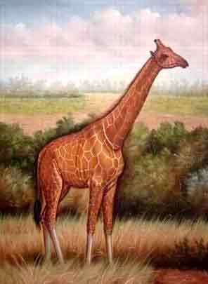 Oil painting for sale:others-036