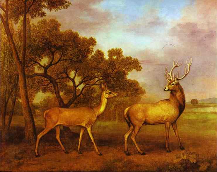 Oil painting:Red Deer Stag and Hind. 1792