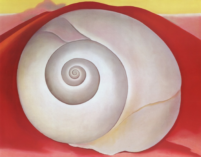 White Shell With Red c. 1938