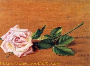 Rose 1887