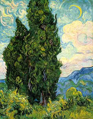 Cypresses