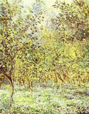Lemon Trees, Bordighera