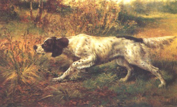 Edmund Henry Osthaus - English Setter Pointing by Edmund Osthaus