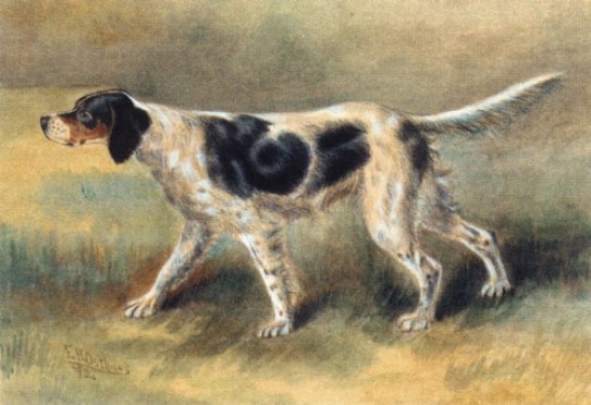 Edmund Henry Osthaus - An English Setter 2
