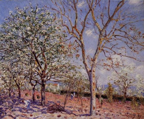 Alfred Sisley - Plum and Walnut Trees in Spring