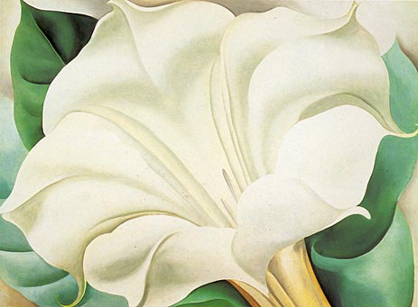White Trumpet Flower, 1932