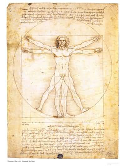 Leonardo da Vinci The Proportions of the Human Figure Vitruvian Man Oil Painting
