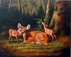 Deer in woodland