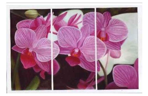 Decoration oil painting,No.182