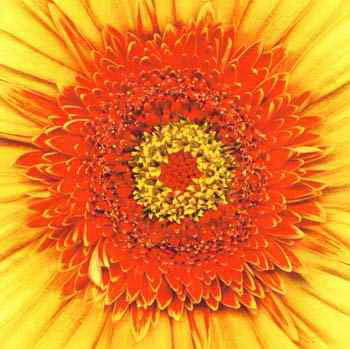 Decoration oil painting,No.38