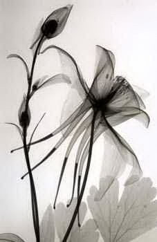 Decoration oil painting,No.77