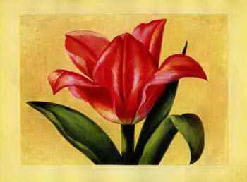 Decoration oil painting,No.91