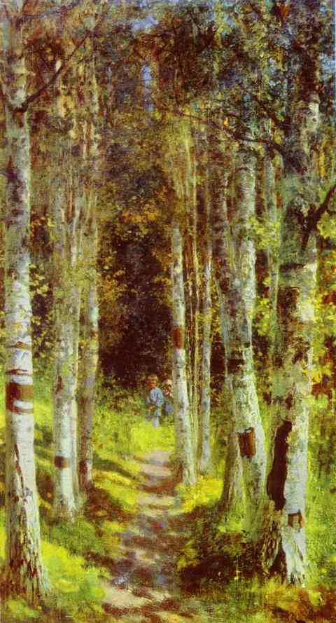 The Birchwood Alley In Abramtzevo