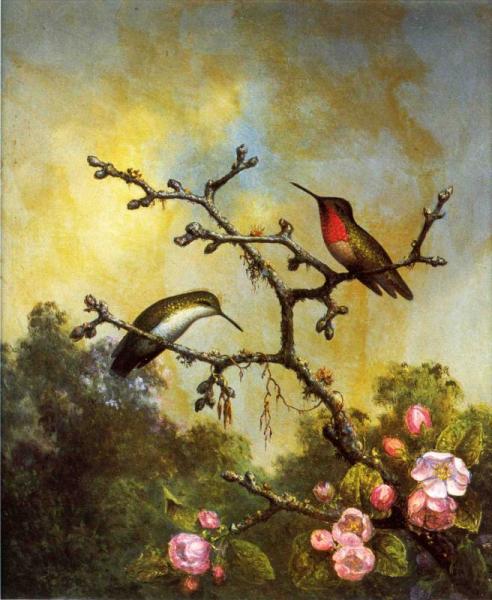 Ruby Throated Hummingbirds with Apple Blossoms