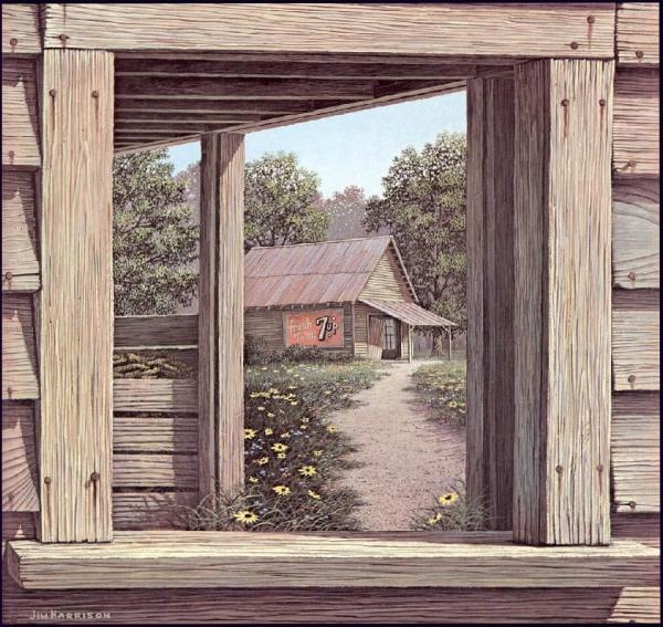 Through the Shed Window