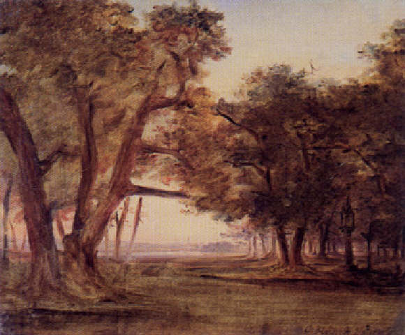 Waldlandschaft bei Morgenstimmung