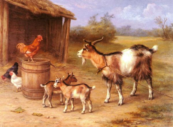 A Farmyard Scene with Goats and Chickens