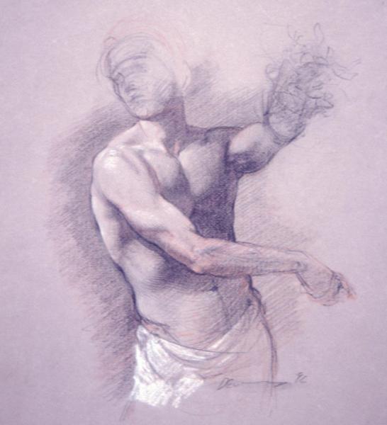 Drawing of Male Torso