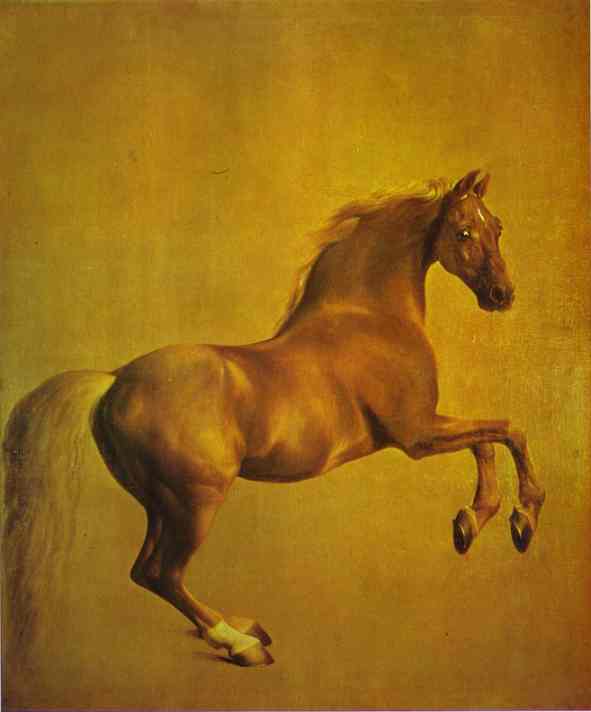 Whistlejacket