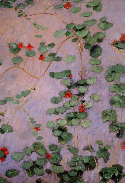 Nasturtiums