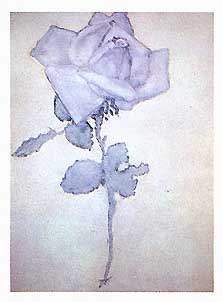 Blue Rose